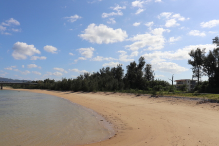 海岸から見たでんハウス