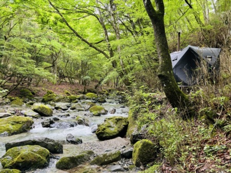 清流の道志川で沢遊びできます。