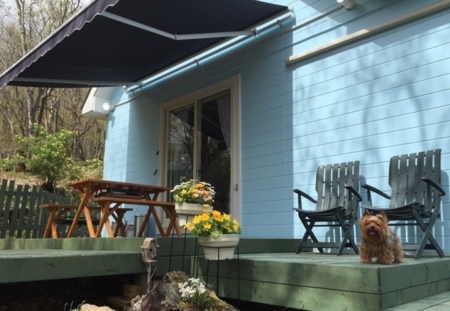 BBQスペースにはカフェ風の屋根