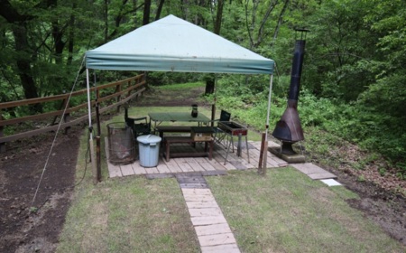 芝貼ってみました