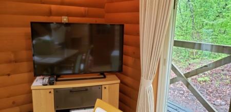 大型４３型テレビ