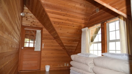 ピークドーマーの洋室