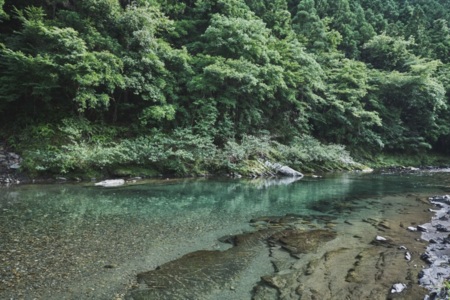 目の前を流れる清流