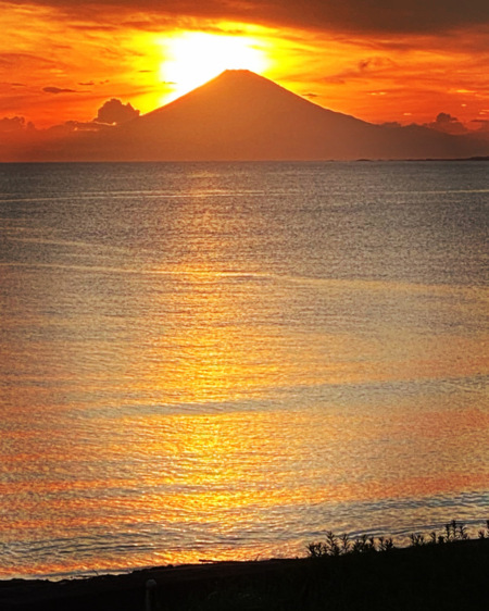 夕方のお散歩で見れる景色