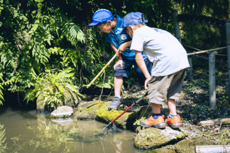 敷地内の小さな池でザリガニ釣りができます