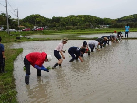 【募集】田植えから稲刈り仲間♪