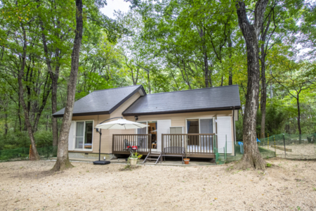 ドッグラン＆外観