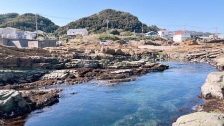 海で磯遊び・釣りもできます