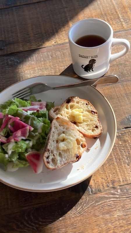 地元で調達した食材で朝食でも
