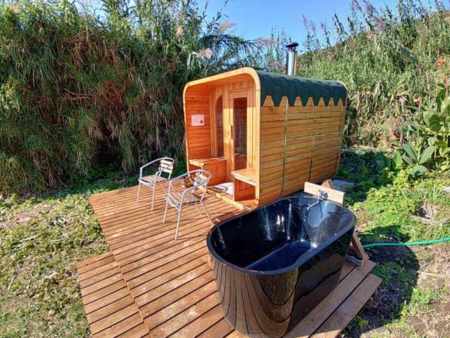 サウナオプション新登場