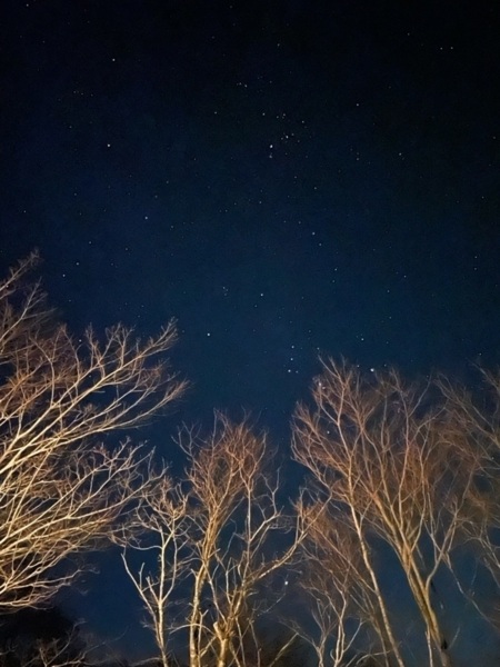 夜はこんな風景も見られます。