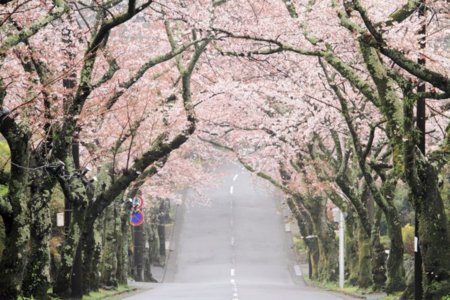 風景