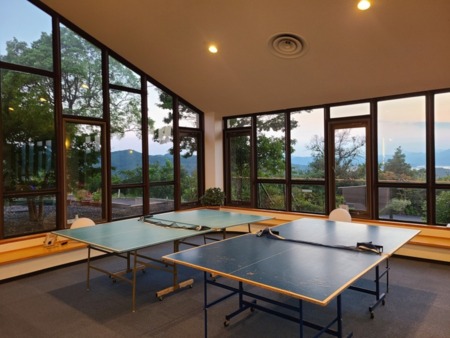 Ping Pong Table