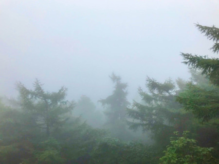 朝霧もとても素晴らしい景色。