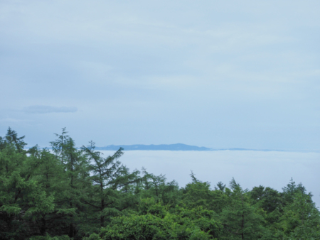 たまに雲海が現れます。