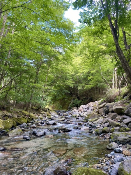 緑がいっぱい！どの季節も気持ちがいい！