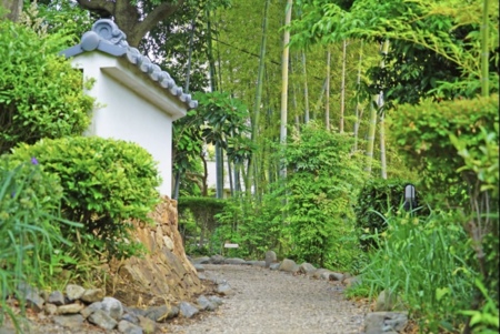 竹林を抜けると日本庭園と古民家が現れます/日本庭園と古民家【飯田屋】