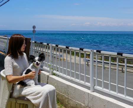 海の眺め