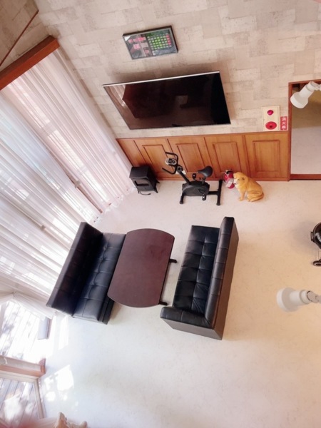 吹き抜けのリビング