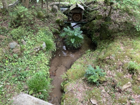 敷地内に小川が流れています