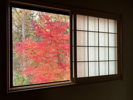 秋の2階窓から見た外の風景。まるで絵画