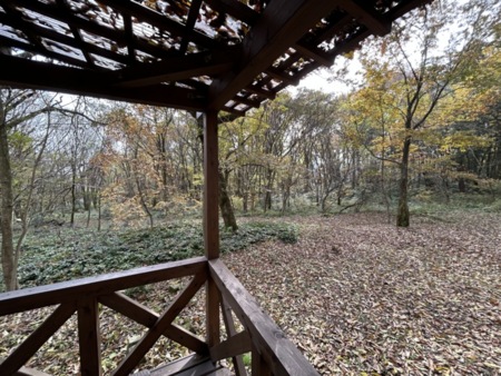 秋の景色は哀愁を誘います！11月