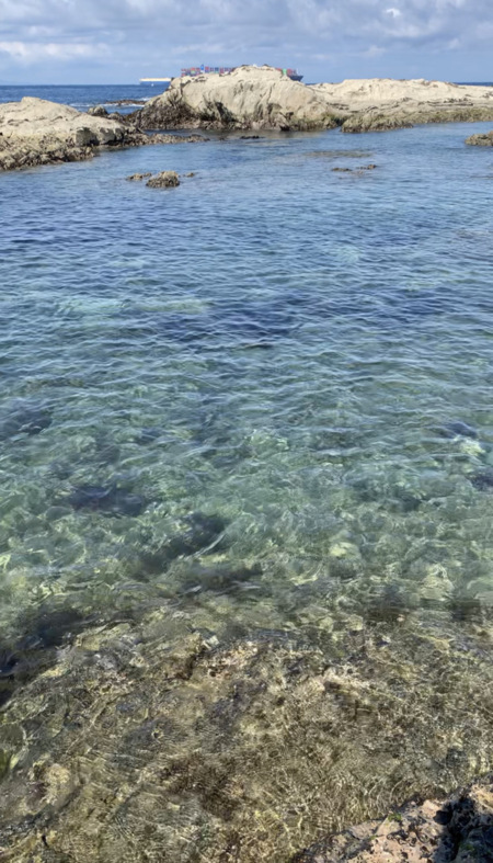 もちろん海水浴も☆