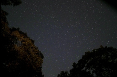 満天の星空