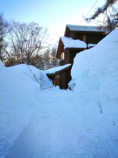冬は日本有数の超豪雪地を満喫できます。