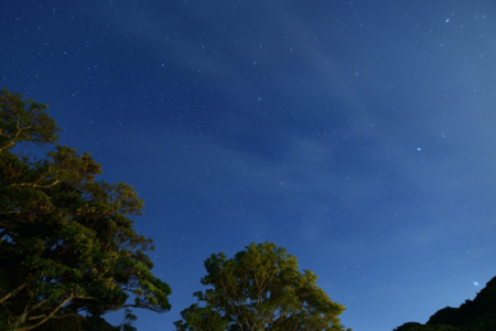 今にも降ってきそうな満点の星空は必見