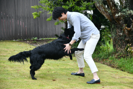 大切な愛犬の喜ぶ姿はまさに一生の思い出