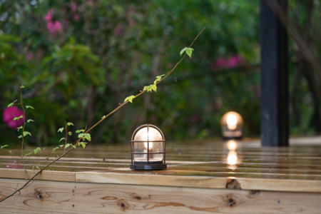 雨の日も夜も、穏やかな時間が流れます