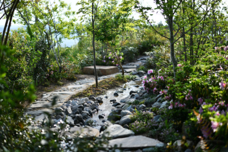 著名造園家が手掛けた四季を感じる庭は必見