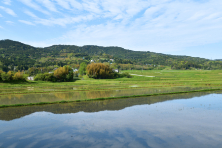 懐かしさを取り戻せる鴨川の風景です