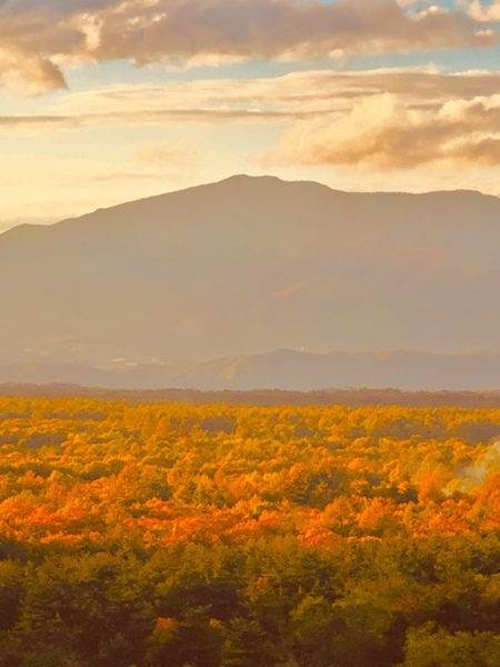 浅間山と広がる紅葉