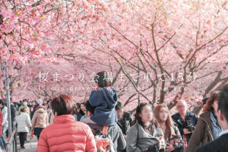 桜祭りもお楽しみいただけます。