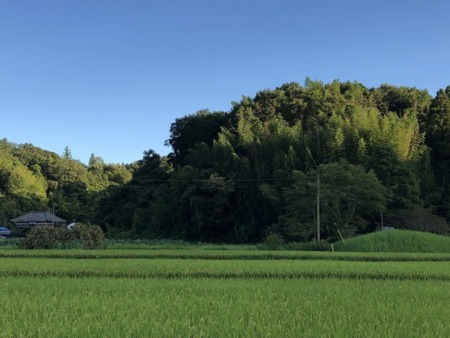 奥まった静かな里山に位置しています