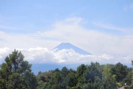 富士山