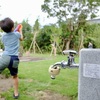 お子様と庭遊びをお楽しみください