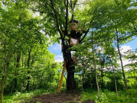 ツリーハウス付きの貸別荘