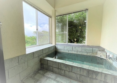 温泉　貴重な伊豆石浴槽