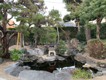 池　形は漢字の心　　鯉、金魚、プレコ