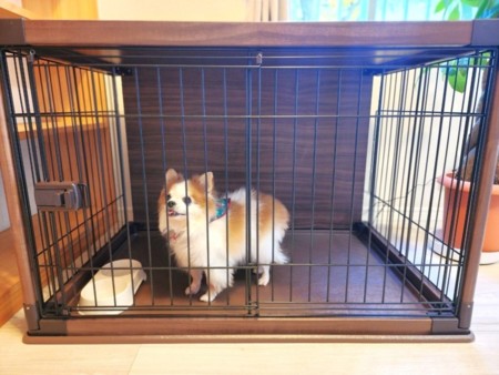 ペットアメニティも充実