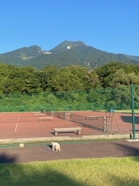 テニスコートへ散歩コースから正面に妙高山