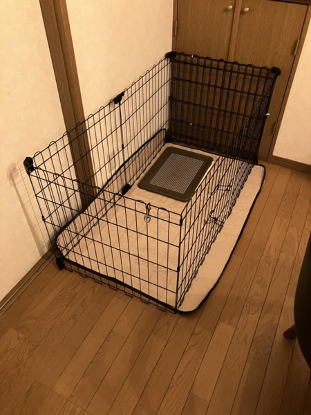 ケージ、トイレトレー、食事皿あります