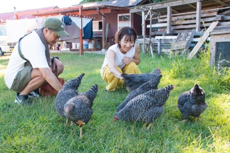 鶏たちへの餌やり体験♪/海土里hutte