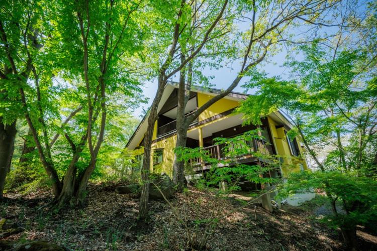 王宮のお触れ（野獣邸） 王宮のお触れ（野獣邸）