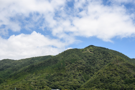 施設からの景色