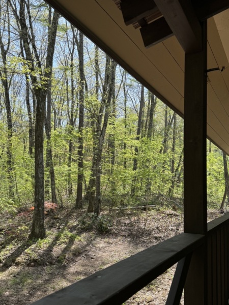 庭の前の小川のせせらぎに癒されて…