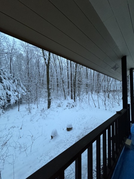 雪の朝の凛とした冷たさも...